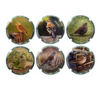 Puig Amat X096093 a X096098 (6 Placas)