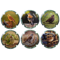 Puig Amat X149109 a X149114 (6 Placas) Puig Amat X149109 a X149114 (6 Placas)