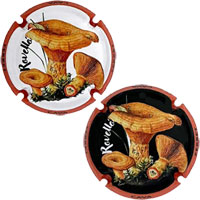 Ferret X256798 - X256799 (2 Placas) Ferret X256798 - X256799 (2 Placas)