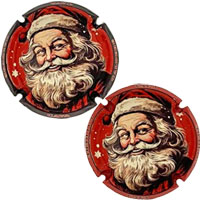 Calderé X258611 a X258612 (2 Placas) Calderé X258611 a X258612 (2 Placas)