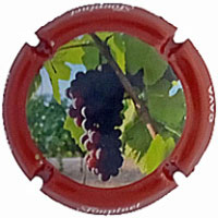 Fonpinet X258676 - CPC FNP335