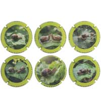 Balandrau X261182 a X261187 (6 Placas) Balandrau X261182 a X261187 (6 Placas)