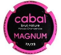 Bodegas Cabal BCAB107 - X229199 MAGNUM (72 Ex)