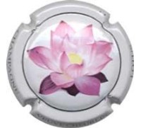 Cheurlin Vve Nº 11 - X082790 (Francia)