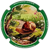 Terraferma X257771 - XC TRFM972