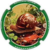 Terraferma X257770 - XC TRFM973