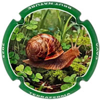 Terraferma X257772 - XC TRFM974