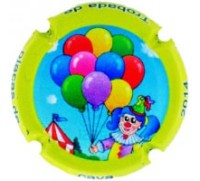 TRO21082539 - Trobada Placas 2014