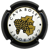 Bolet X004873 - CPC BLT304 Bolet X004873 - CPC BLT304