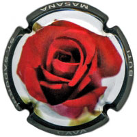 Butí Masana X007859 - CPC BTM350 Butí Masana X007859 - CPC BTM350