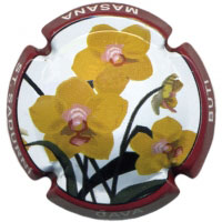 Butí Masana X029518 - CPC BTM352 Butí Masana X029518 - CPC BTM352
