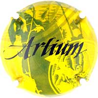 Artium X071662 - XC ARTM119 Artium X071662 - XC ARTM119