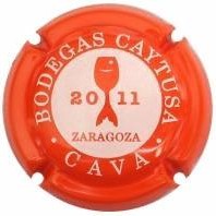 Caytusa X080964 - XC CAYT024 Caytusa X080964 - XC CAYT024