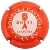 Caytusa X080964 - XC CAYT024