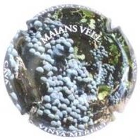 Maians Vell X083167 - XC MNVE018 Maians Vell X083167 - XC MNVE018