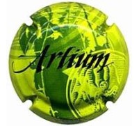 Artium X107214 - XC ARTM149