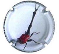 Pere Rius X114945 - XC PRRS212