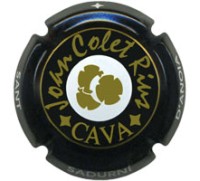 Joan Colet Rius X123635 - CPC JCR325