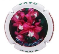 Just Presents X128623 - XC JSTP088