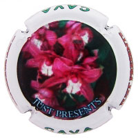 Just Presents X128623 - XC JSTP088 Just Presents X128623 - XC JSTP088