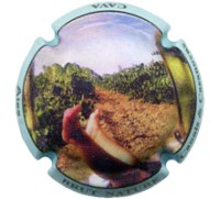 Canals Casanovas X146278 - CPC CNC329 Canals Casanovas X146278 - CPC CNC329