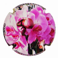 Just Presents X147848 - XC JSTP099 Just Presents X147848 - XC JSTP099