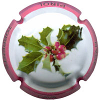 Joan Piñol Torrents X154735 - CPC JPT393