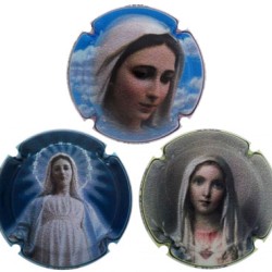 Llisuá X164311 a X164417 (3 Placas) Llisuá X164311 a X164417 (3 Placas)