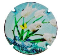 Artigau X168016 - XC ARTG047