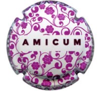 Amicum X194938 - CPC AMC304