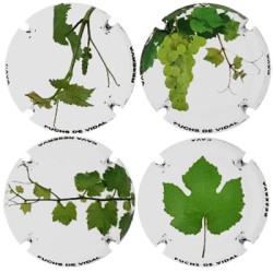 Fuchs de Vidal X197647 a X197650 (4 Placas)