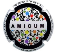 Amicum X204119 - CPC AMC305