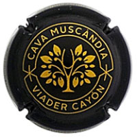 Muscàndia X229550 - CPC MCN317