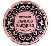 Fandos y Barriuso X246044 - CPC FND304