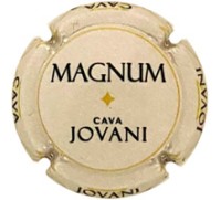 Jovani Vins X247317 - CPC JVV313 MAGNUM