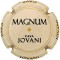 Jovani Vins X247317 - CPC JVV313 MAGNUM