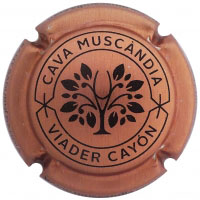 Muscàndia X165125 - CPC MCN312